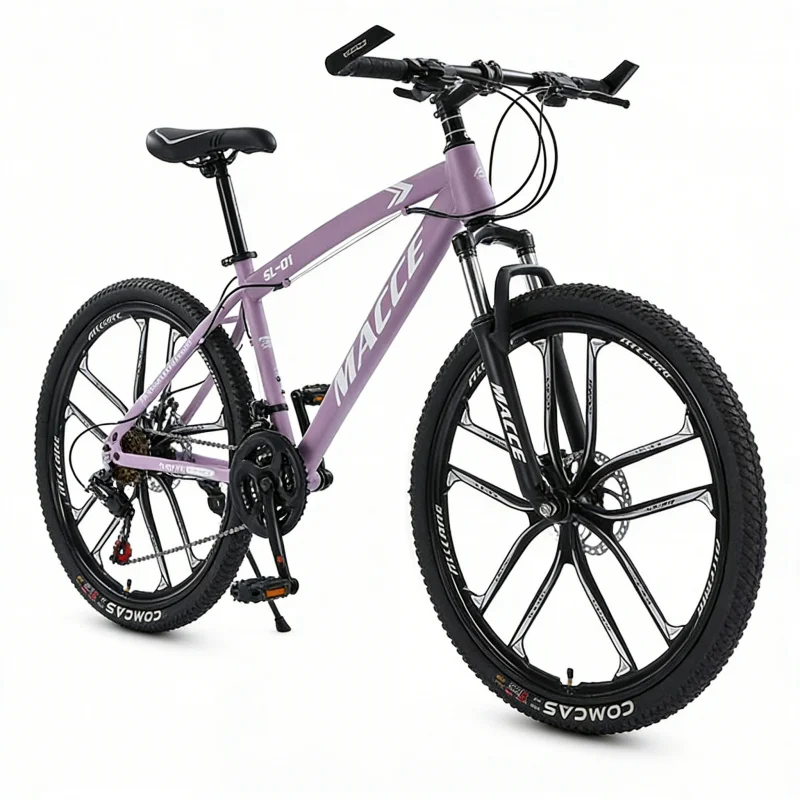 Paarse 10-versnellings high-en - Cycling Gear Inches recensie en prijs