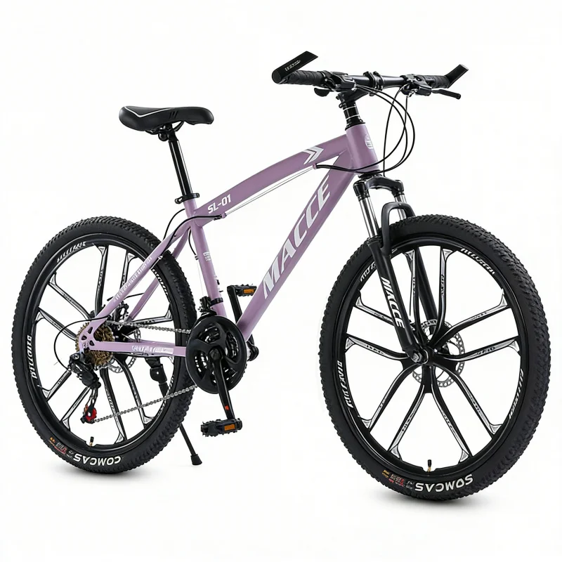 Paarse 10-versnellings high-en - Cycling Gear Inches recensie en prijs