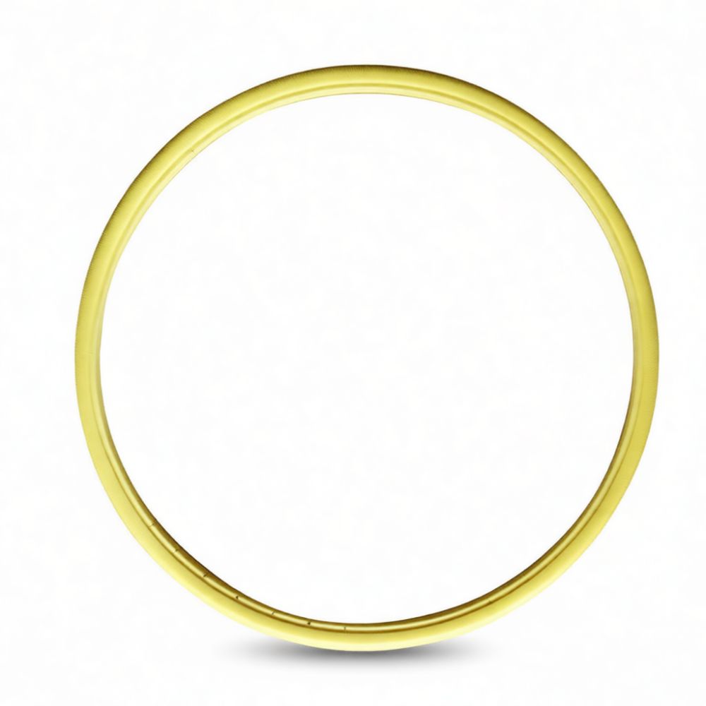 Onderhoudsvrije massieve fiets - Cycling Gear Inches recensie en prijs